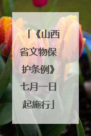 《山西省文物保护条例》七月一日起施行