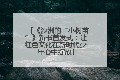《沙洲的“小树苗”》新书首发式：让红色文化在新时代少年心中绽放