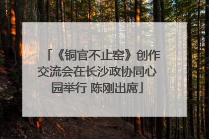 《铜官不止窑》创作交流会在长沙政协同心园举行 陈刚出席