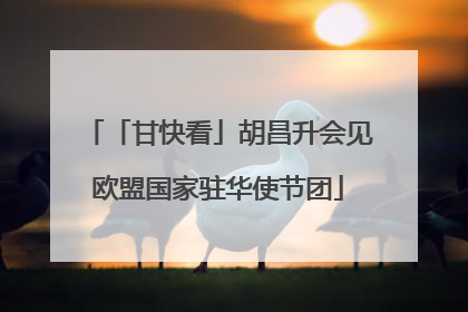「甘快看」胡昌升会见欧盟国家驻华使节团