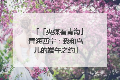 「央媒看青海」青海西宁：我和鸟儿的端午之约