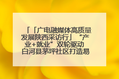 「广电融媒体高质量发展陕西采访行」“产业+就业”双轮驱动 白河县茅坪社区打造易地搬迁后扶新样本