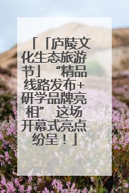 「庐陵文化生态旅游节」“精品线路发布+研学品牌亮相” 这场开幕式亮点纷呈！