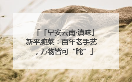 「早安云南·滇味」新平腌菜：百年老手艺，万物皆可“腌”