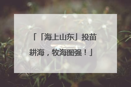 「海上山东」投苗耕海，牧海图强！