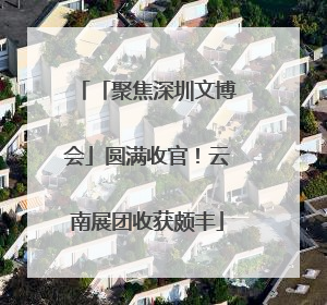 「聚焦深圳文博会」圆满收官！云南展团收获颇丰