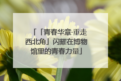 「青春华章·重走西北角」闪耀在博物馆里的青春力量