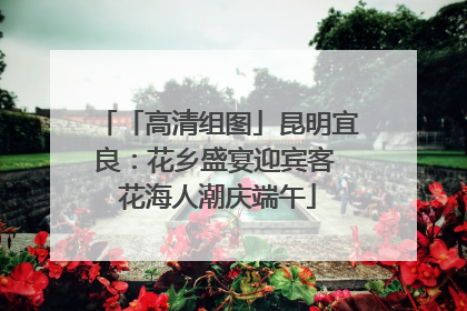 「高清组图」昆明宜良：花乡盛宴迎宾客 花海人潮庆端午