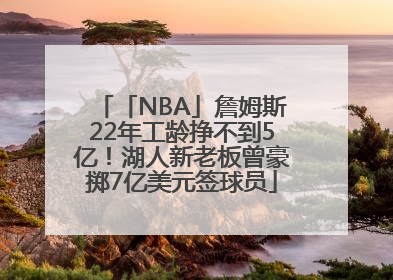 「NBA」詹姆斯22年工龄挣不到5亿！湖人新老板曾豪掷7亿美元签球员