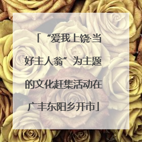 “爱我上饶·当好主人翁”为主题的文化赶集活动在广丰东阳乡开市