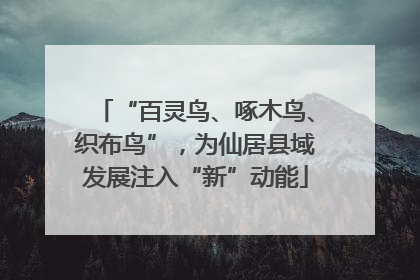 “百灵鸟、啄木鸟、织布鸟”，为仙居县域发展注入“新”动能