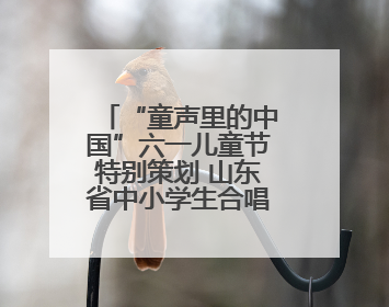 “童声里的中国”六一儿童节特别策划 山东省中小学生合唱展演（二）