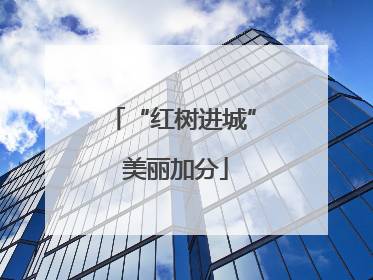 “红树进城” 美丽加分