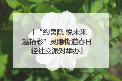 “约灵隐 悦未来 越精彩”灵隐街道春日轻社交派对举办