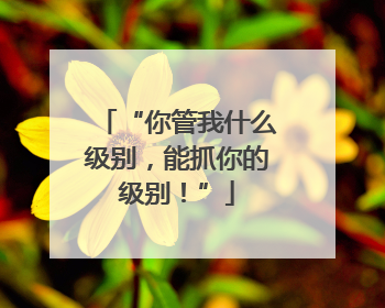 “你管我什么级别，能抓你的级别！”