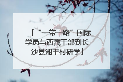 “一带一路”国际学员与西藏干部到长沙县湘丰村研学