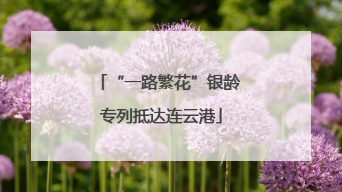“一路繁花”银龄专列抵达连云港