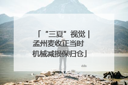 “三夏”视觉｜孟州麦收正当时 机械减损保归仓