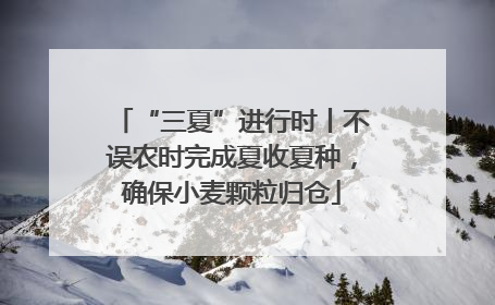 “三夏”进行时丨不误农时完成夏收夏种，确保小麦颗粒归仓