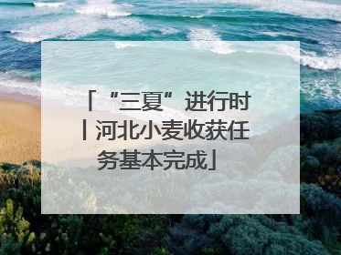“三夏”进行时丨河北小麦收获任务基本完成