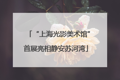 “上海光影美术馆”首展亮相静安苏河湾