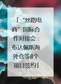 “丝路电商”国际合作对接会：布达佩斯海外仓等8个项目签约