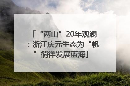 “两山”20年观澜：浙江庆元生态为“帆”徜徉发展蓝海