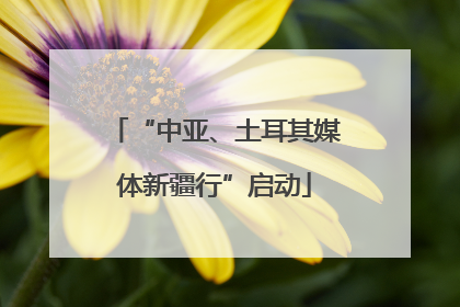 “中亚、土耳其媒体新疆行”启动