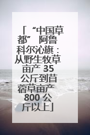 “中国草都” 阿鲁科尔沁旗：从野生牧草亩产 35 公斤到苜蓿草亩产 800 公斤以上