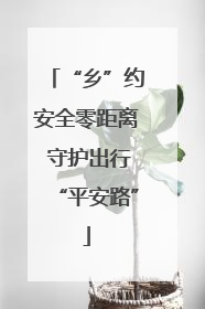 “乡”约安全零距离 守护出行“平安路”
