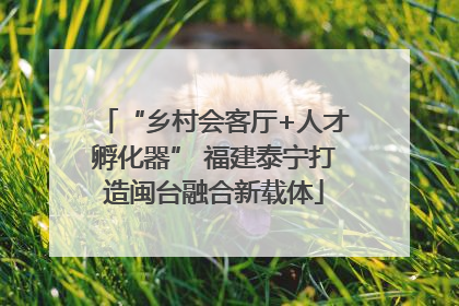 “乡村会客厅+人才孵化器” 福建泰宁打造闽台融合新载体