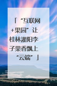 “互联网+果园”让桂林灌阳李子果香飘上“云端”