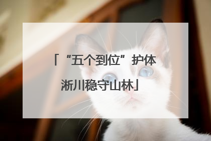 “五个到位”护体 淅川稳守山林