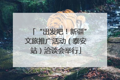 “出发吧！新疆”文旅推广活动（泰安站）洽谈会举行