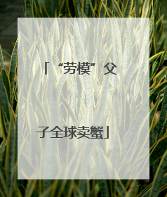 “劳模”父子全球卖蟹