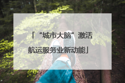“城市大脑”激活航运服务业新动能