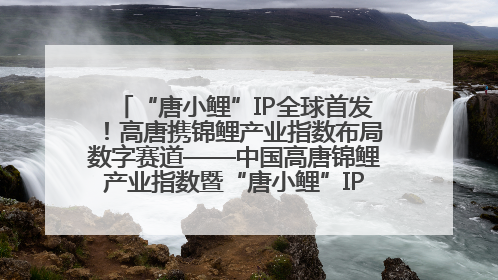 “唐小鲤”IP全球首发！高唐携锦鲤产业指数布局数字赛道——中国高唐锦鲤产业指数暨“唐小鲤”IP全球首发仪式在杭州举行
