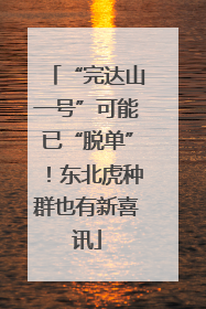 “完达山一号”可能已“脱单”！东北虎种群也有新喜讯