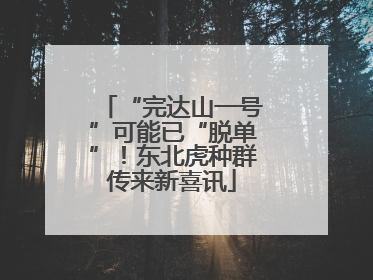 “完达山一号”可能已“脱单”！东北虎种群传来新喜讯