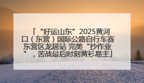 “好运山东”2025黄河口（东营）国际公路自行车赛东营区龙居站 完美“抄作业”，苦战最后时刻黄衫易主
