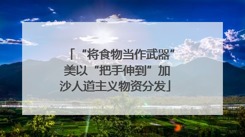 “将食物当作武器” 美以“把手伸到”加沙人道主义物资分发