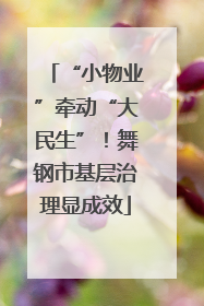 “小物业”牵动“大民生”！舞钢市基层治理显成效