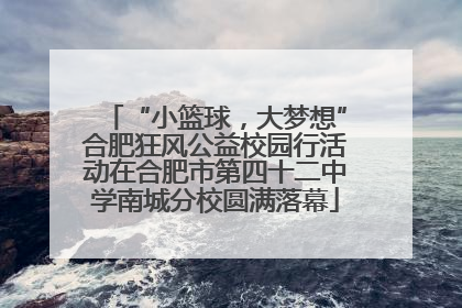 “小篮球，大梦想”合肥狂风公益校园行活动在合肥市第四十二中学南城分校圆满落幕