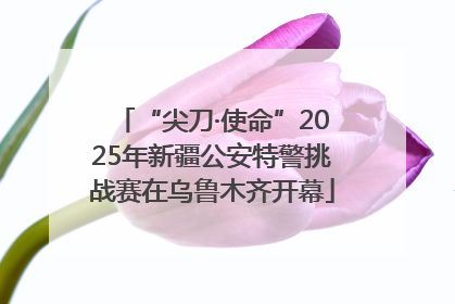 “尖刀·使命”2025年新疆公安特警挑战赛在乌鲁木齐开幕