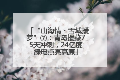 “山海情・雪域援梦”⑦：青岛援藏75天冲刺，24亿度绿电点亮高原