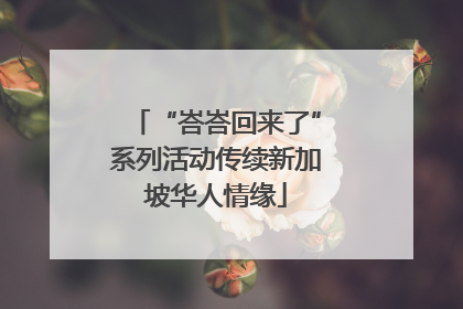 “峇峇回来了”系列活动传续新加坡华人情缘