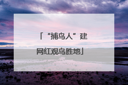 “捕鸟人”建网红观鸟胜地