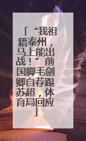“我祖籍泰州，马上能出战！”前国脚毛剑卿自荐踢苏超，体育局回应