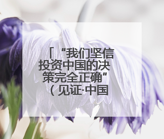 “我们坚信投资中国的决策完全正确”（见证·中国机遇）
