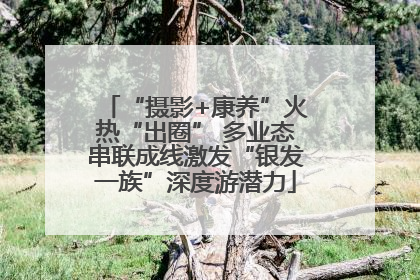 “摄影+康养”火热“出圈” 多业态串联成线激发“银发一族”深度游潜力